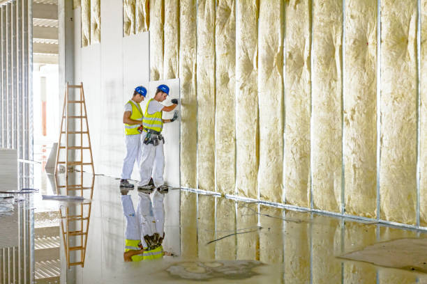 Best Spray Foam Insulation in Silsbee, TX